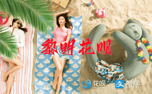 一步登天（形容一下子就取得巨大成功）花呗